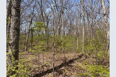 0 Elm Avenue, Foristell, MO 63348 - Photo 11