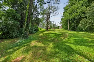 1318 Graham St, Saint Louis, MO 63139 - Photo 39
