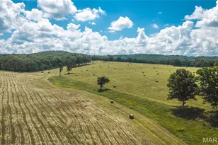 10555 Pashia Rd, Potosi, MO 63664 - Photo 59