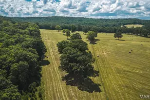 10555 Pashia Rd, Potosi, MO 63664 - Photo 49