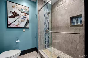 10 Sackston Woods Ln, Creve Coeur, MO 63141 - Photo 53