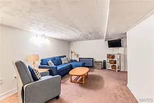 5351 Alfred Ave, Saint Louis, MO 63116 - Photo 21