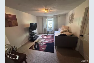 5045 S 37th Street, Saint Louis, MO 63116 - Photo 13