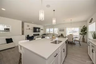 111 Columbia Meadows, O'Fallon, MO 63366 - Photo 11