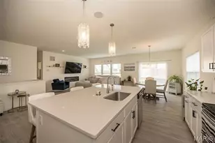111 Columbia Meadows, O'Fallon, MO 63366 - Photo 7