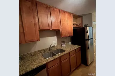 609 Clara Avenue Avenue #5, Saint Louis, MO 63112 - Photo 23