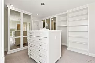232 N Kingshighway Blvd, Saint Louis, MO 63105 - Photo 65