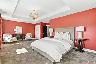 232 N Kingshighway Blvd, Saint Louis, MO 63105 - Photo 73