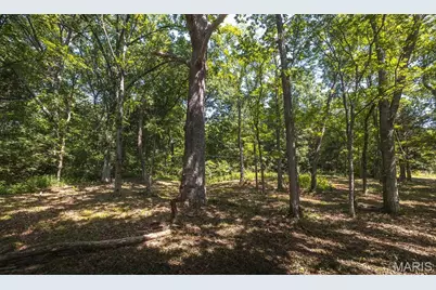 3107 Bouquet Road, Glencoe, MO 63038 - Photo 5