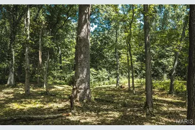3107 Bouquet Road, Glencoe, MO 63038 - Photo 9