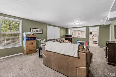 3325 Green Drive, Festus, MO 63028 - Photo 29