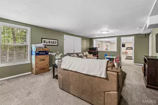 3325 Green Dr, Festus, MO 63028 - Photo 29