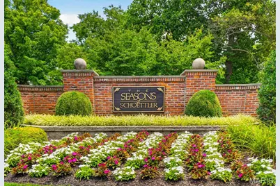 14673 Summer Blossom Lane, Chesterfield, MO 63017 - Photo 3