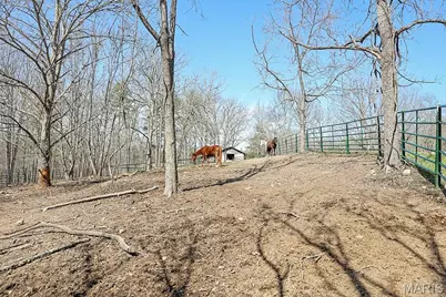 25598 County Road C-228, Norwood Court, MO 65717 - Photo 95