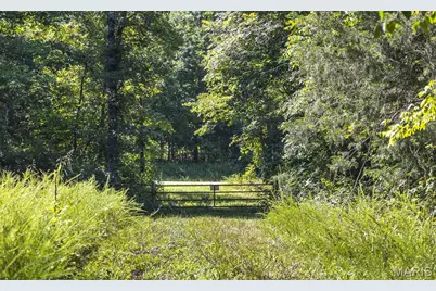25598 County Road C-228, Norwood Court, MO 65717 - Photo 77