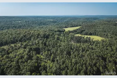 25598 County Road C-228, Norwood Court, MO 65717 - Photo 85