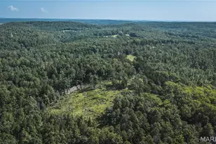 25598 Co Rd C-228, Norwood Court, MO 65717 - Photo 1