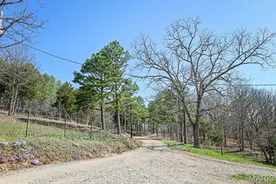 25598 Co Road C-228, Norwood Court, MO 65717 - Photo 43