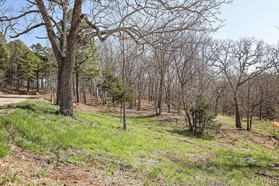 25598 Co Road C-228, Norwood Court, MO 65717 - Photo 45