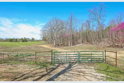25598 Co Road C-228, Norwood Court, MO 65717 - Photo 41