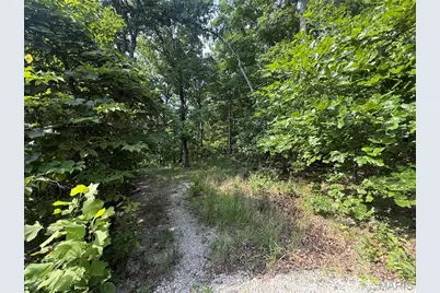 E Swaller Road, Imperial, MO 63052 - Photo 1