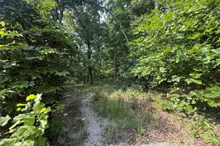 E Swaller Rd, Imperial, MO 63052 - Photo 1