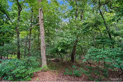 1524 Shalimar Ridge Lane, High Ridge, MO 63049 - Photo 3