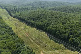 41 Acres Whittaker Rd, French Village, MO 63036 - Photo 21