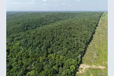 41 Acres Whittaker Road, French Village, MO 63036 - Photo 17