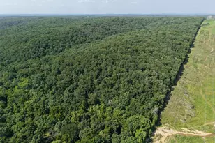 41 Acres Whittaker Rd, French Village, MO 63036 - Photo 17