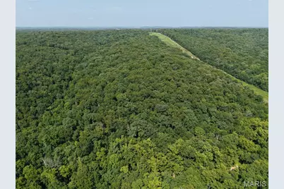41 Acres Whittaker Road, French Village, MO 63036 - Photo 15