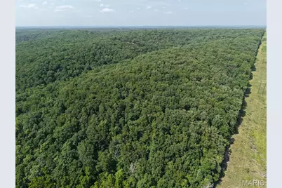 41 Acres Whittaker Road, French Village, MO 63036 - Photo 13