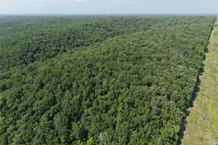 41 Acres Whittaker Rd, French Village, MO 63036 - Photo 13