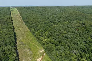 41 Acres Whittaker Rd, French Village, MO 63036 - Photo 11