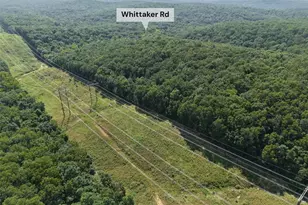 41 Acres Whittaker Rd, French Village, MO 63036 - Photo 23
