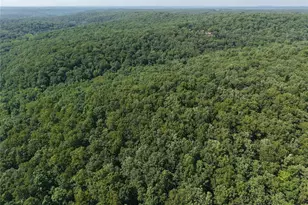 41 Acres Whittaker Rd, French Village, MO 63036 - Photo 3
