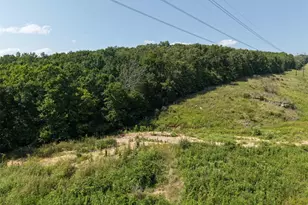 41 Acres Whittaker Rd, French Village, MO 63036 - Photo 19