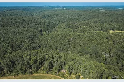 Tract 3 Private Drive 2336, Norwood Court, MO 65717 - Photo 3