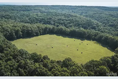 Tract 3 Private Drive 2336, Norwood Court, MO 65717 - Photo 7