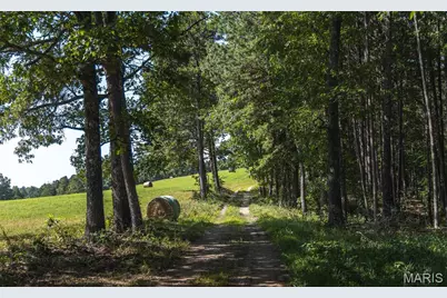 Tract 4 Private Drive 2336, Norwood Court, MO 65717 - Photo 1