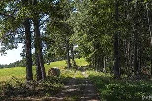 Tract 4 Private Dr 2336, Norwood Court, MO 65717 - Photo 1
