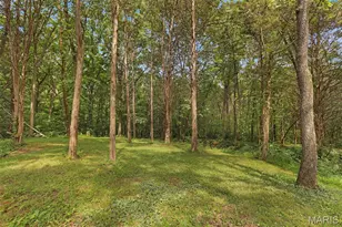 4305 Green Briar Ct, Washington, MO 63090 - Photo 45