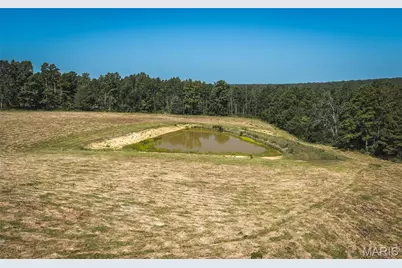 Tract 6 Private Drive 2336, Norwood Court, MO 65717 - Photo 3