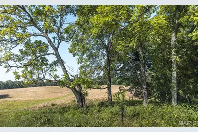 Tract 6 Private Drive 2336, Norwood Court, MO 65717 - Photo 11
