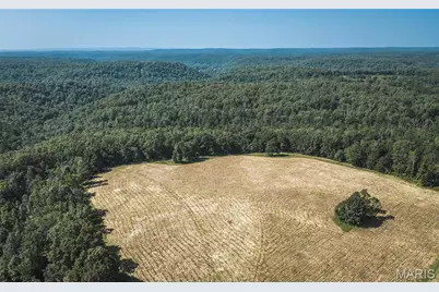 Tract 6 Private Drive 2336, Norwood Court, MO 65717 - Photo 9