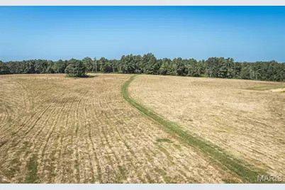 Tract 7 Private Drive 2336, Norwood Court, MO 65717 - Photo 13