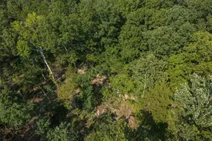 10179 Vine Rd, Cadet, MO 63630 - Photo 61