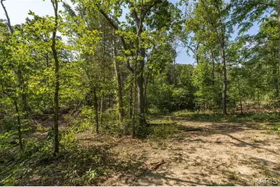 10179 Vine Road, Cadet, MO 63630 - Photo 51
