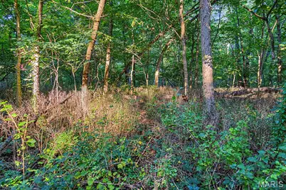 10 Henebry Hills Lane, Troy, MO 63379 - Photo 81