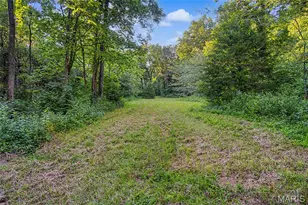 10 Henebry Hls Ln, Troy, MO 63379 - Photo 85